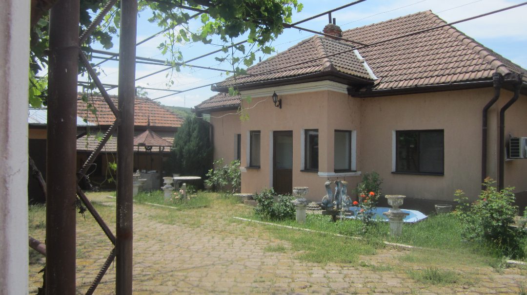 Miniatură 4