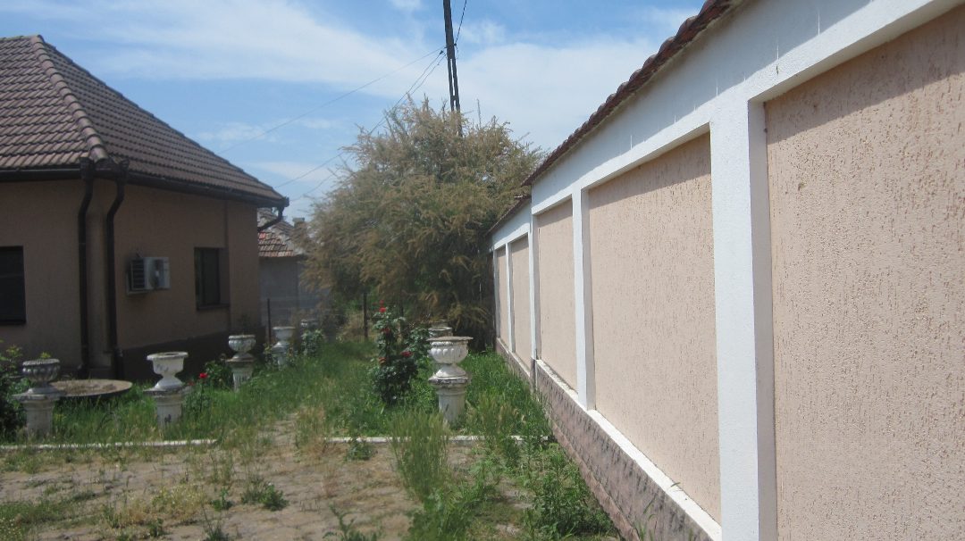 Miniatură 5