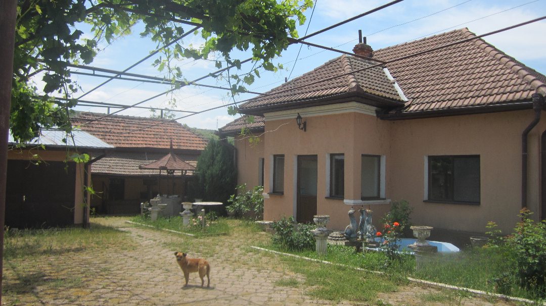 Miniatură 6