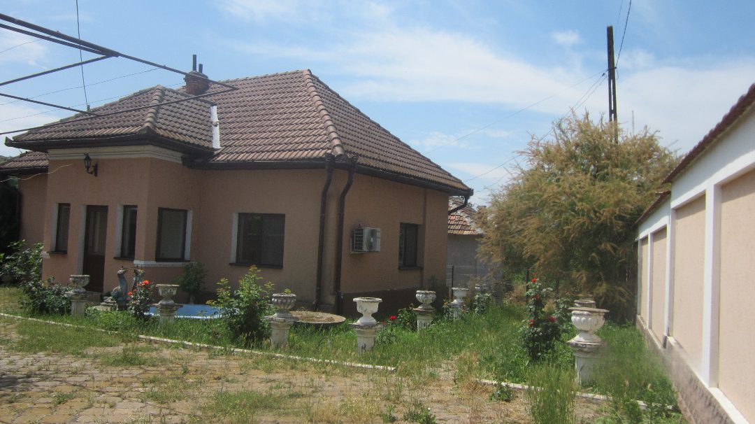 Miniatură 7