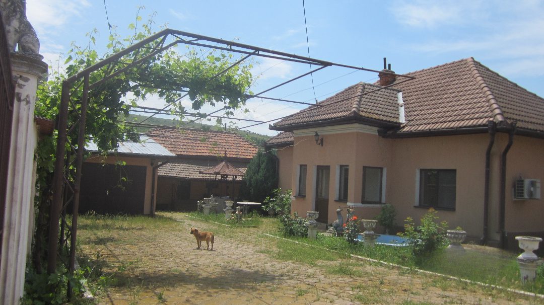Miniatură 8