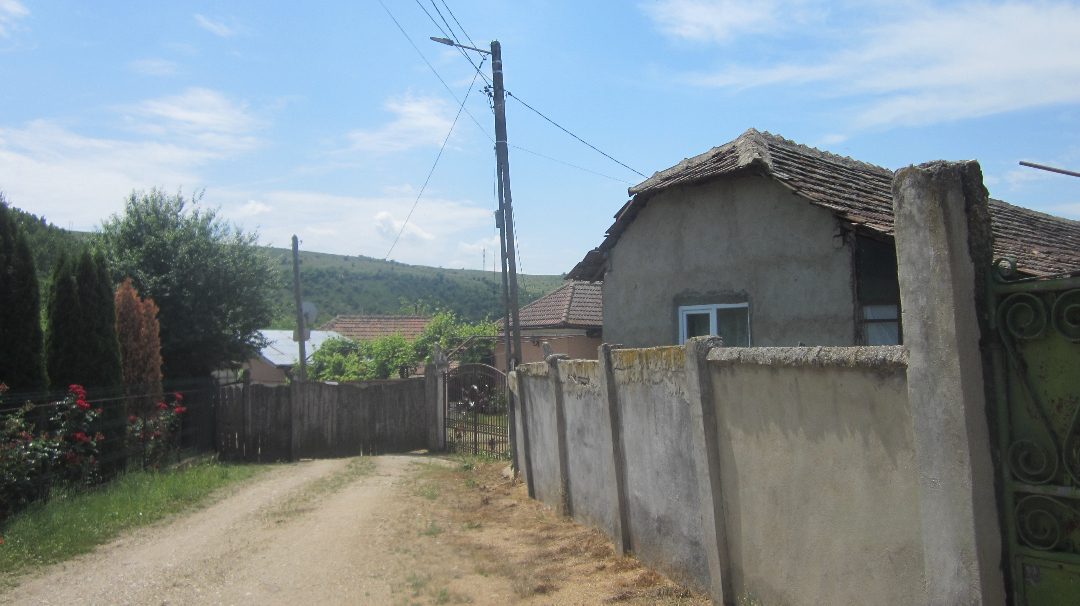 Miniatură 9
