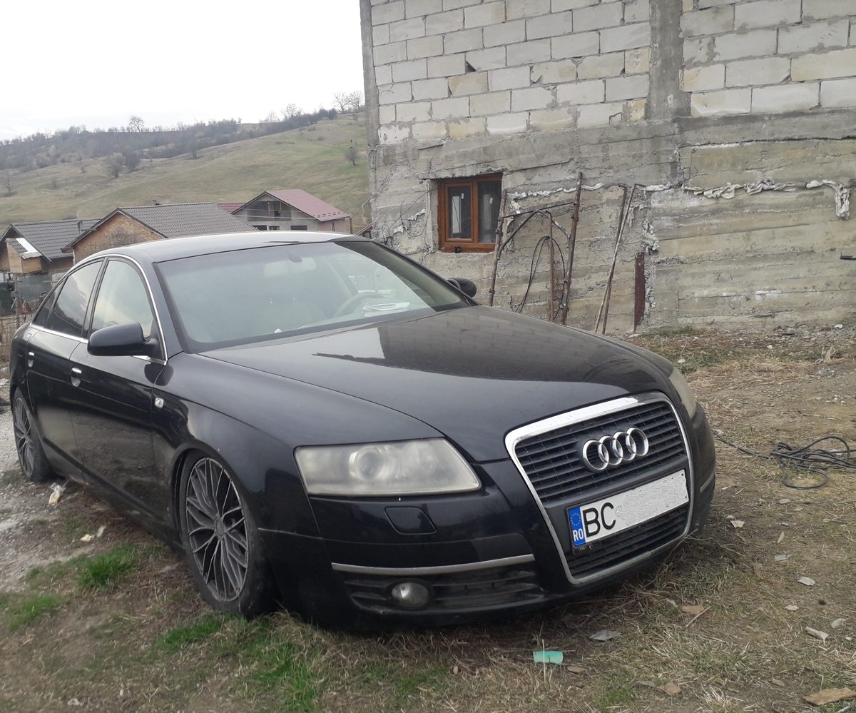 Miniatură 2