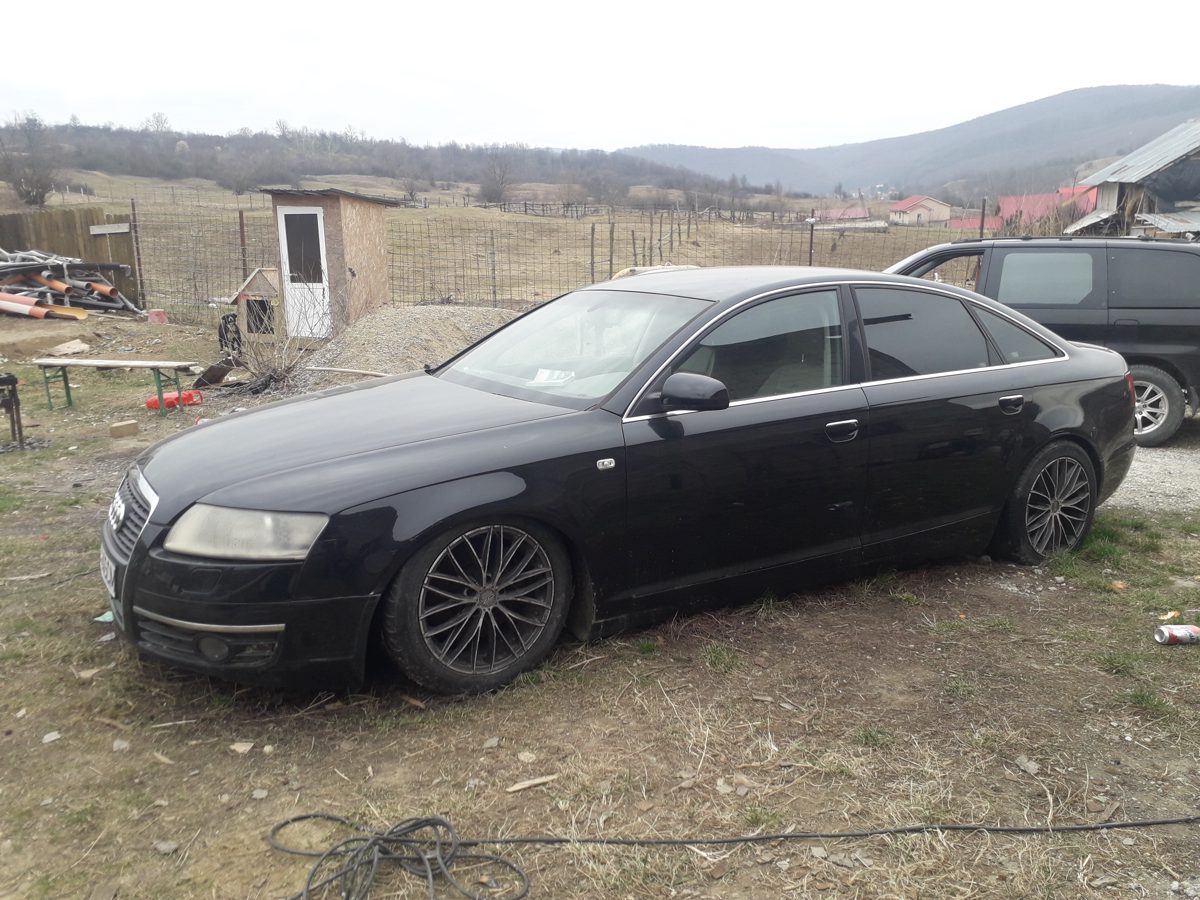 Miniatură 4