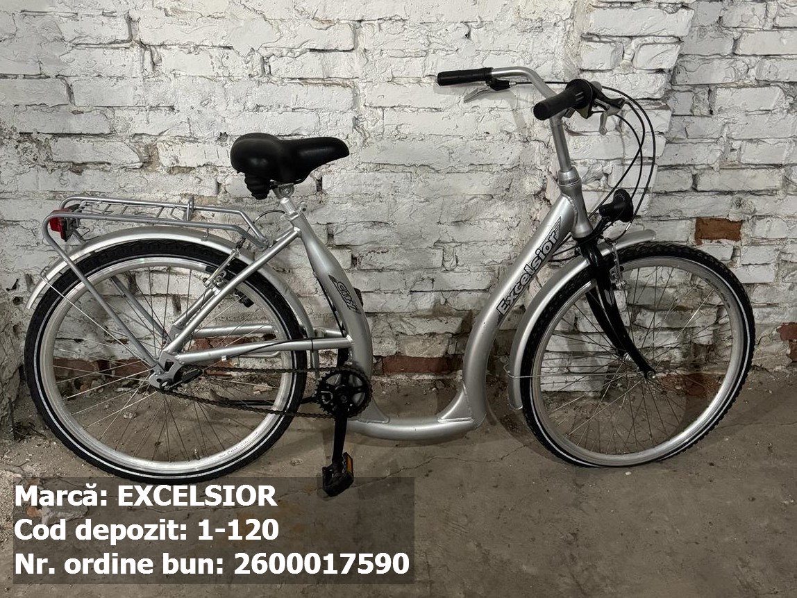 Bicicleta ortopedica - Excelsior 1