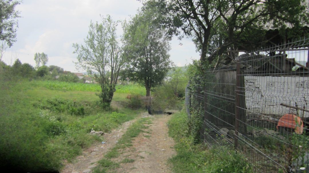 Miniatură 2