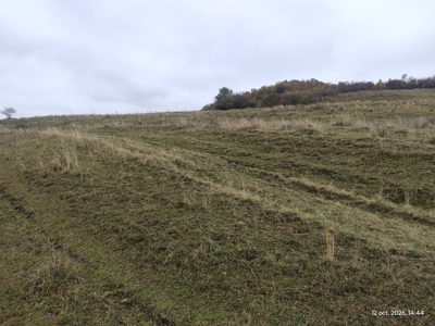 Teren agricol - -