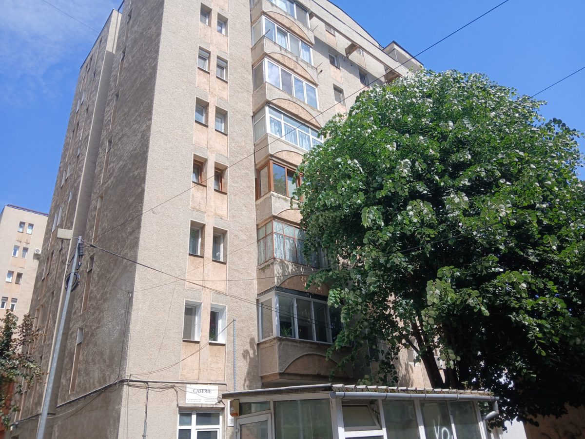 Miniatură 2