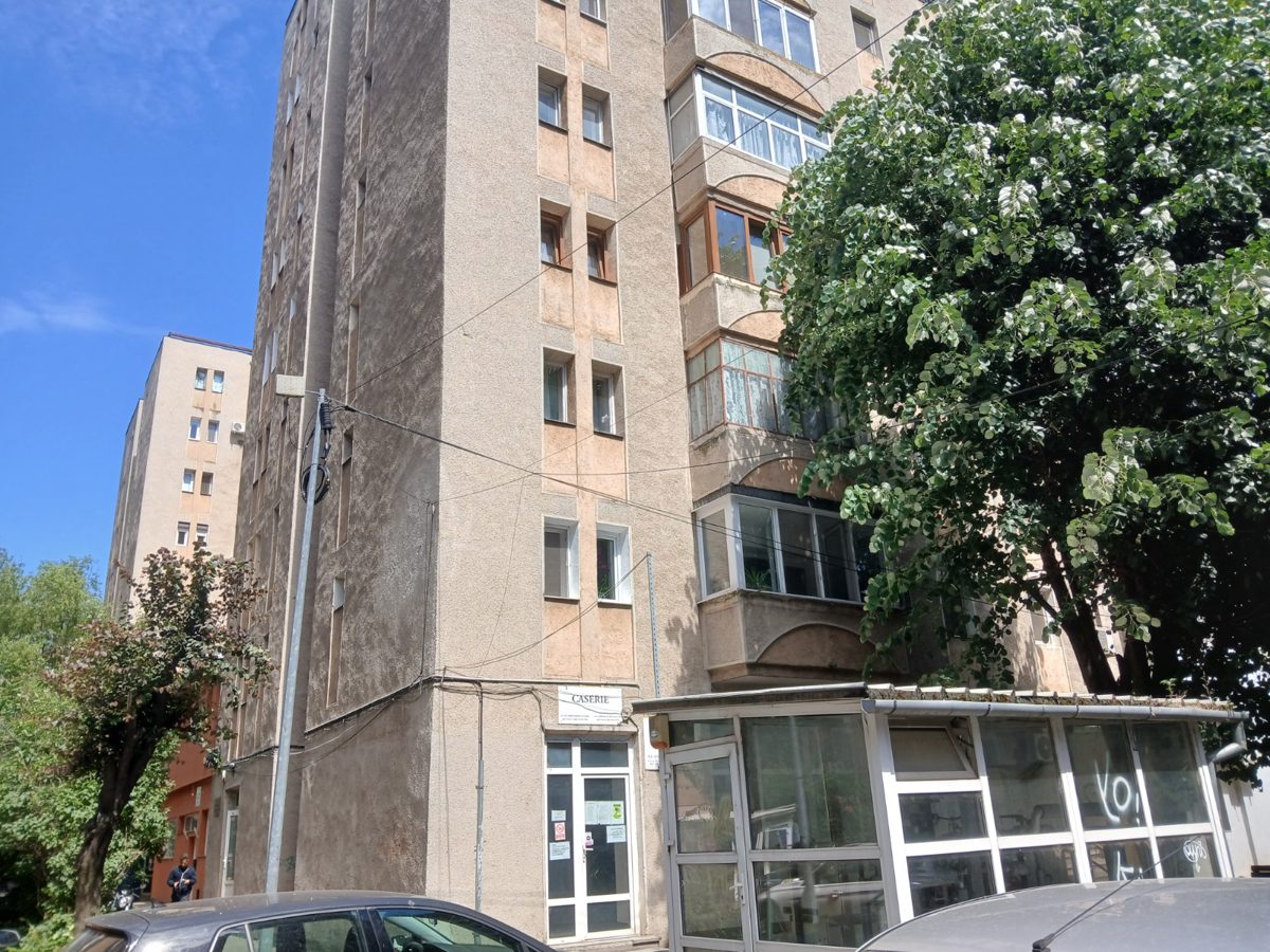 Miniatură 3