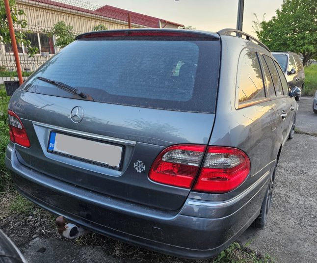 Miniatură 6