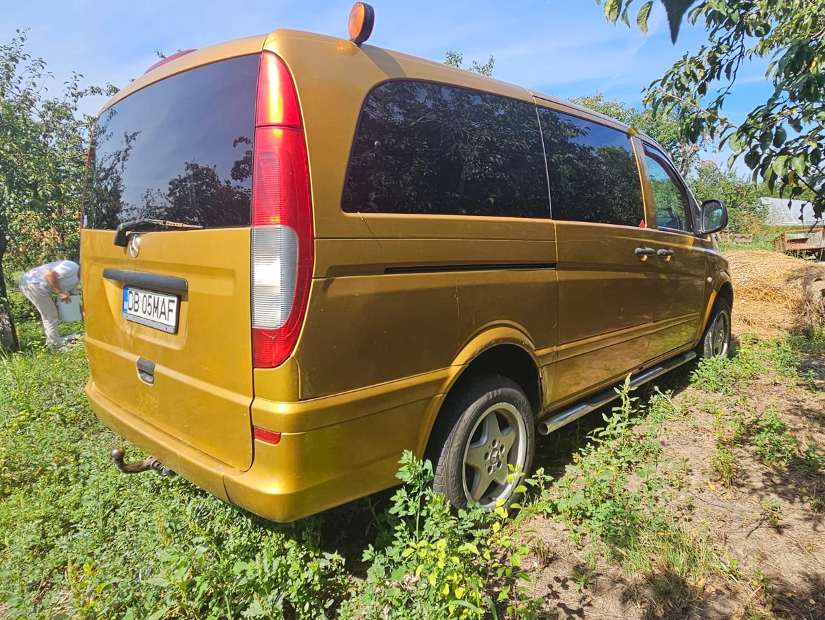 Miniatură 3
