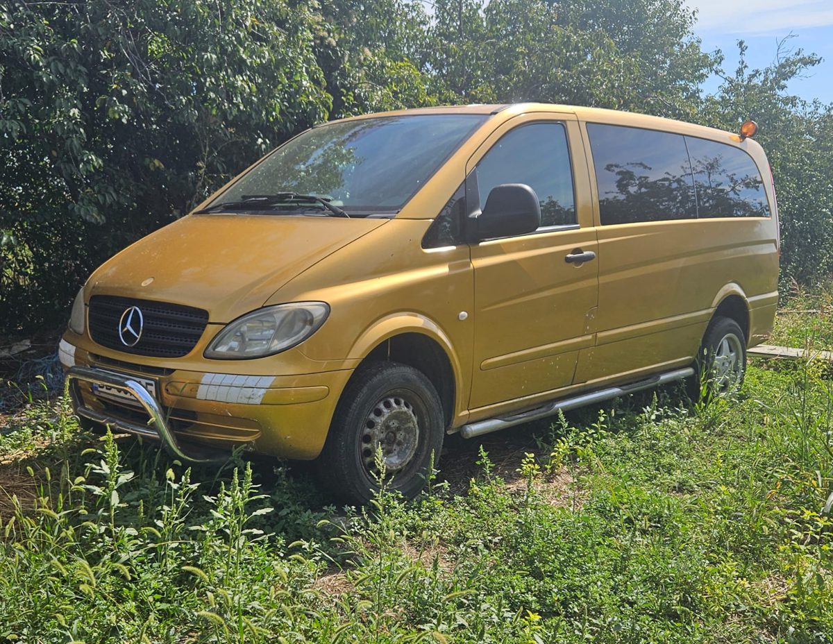Miniatură 6