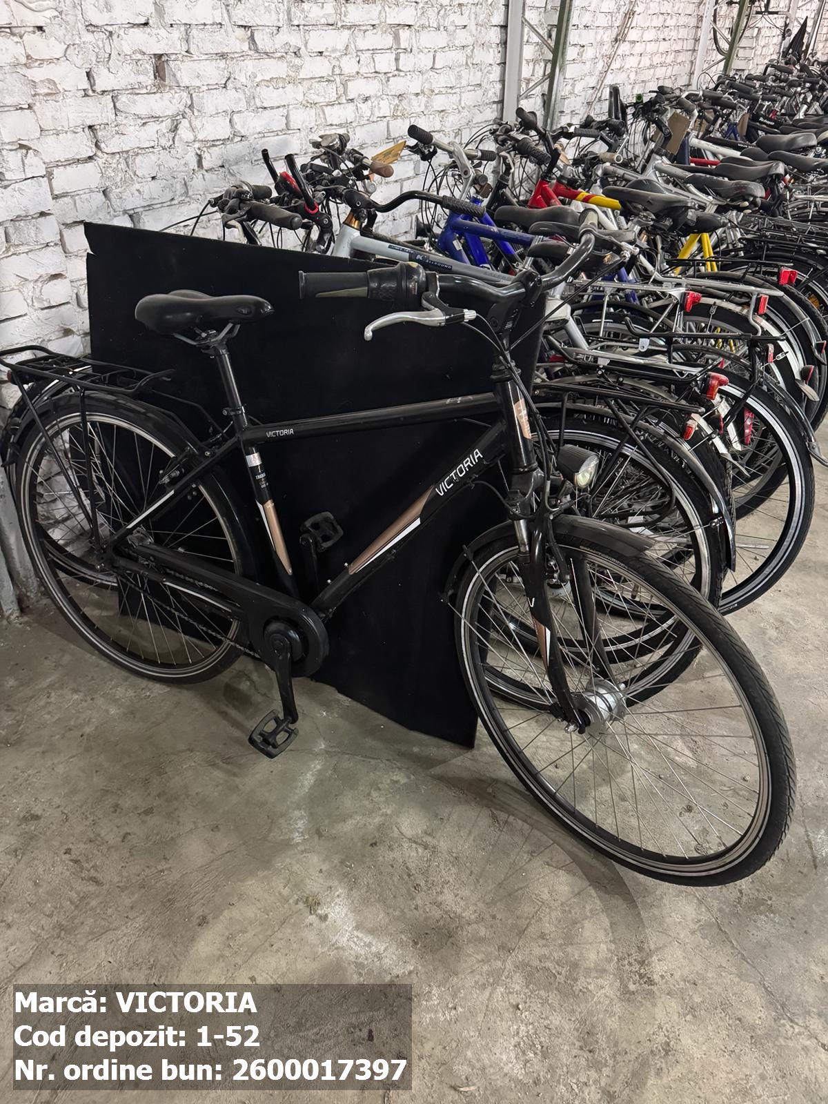 Bicicleta- Victoria 1