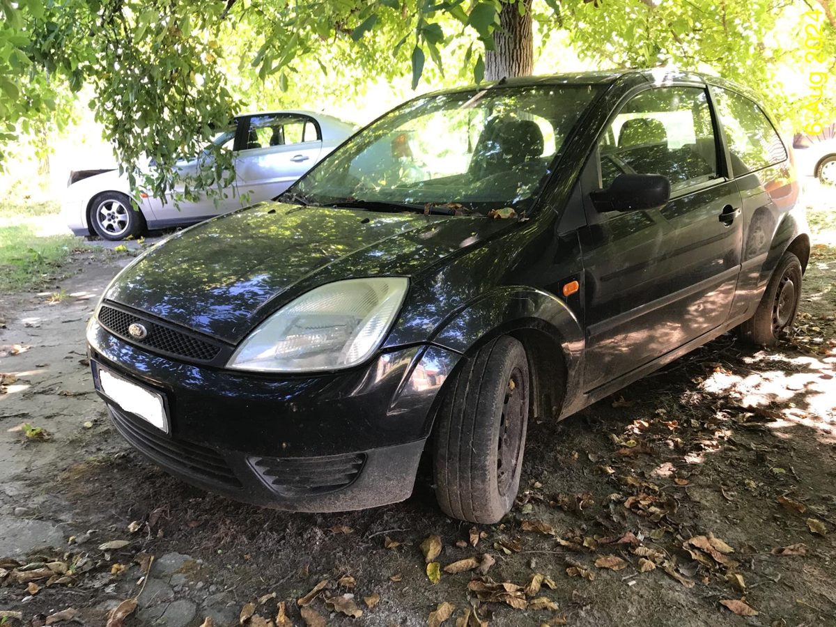 Miniatură 3