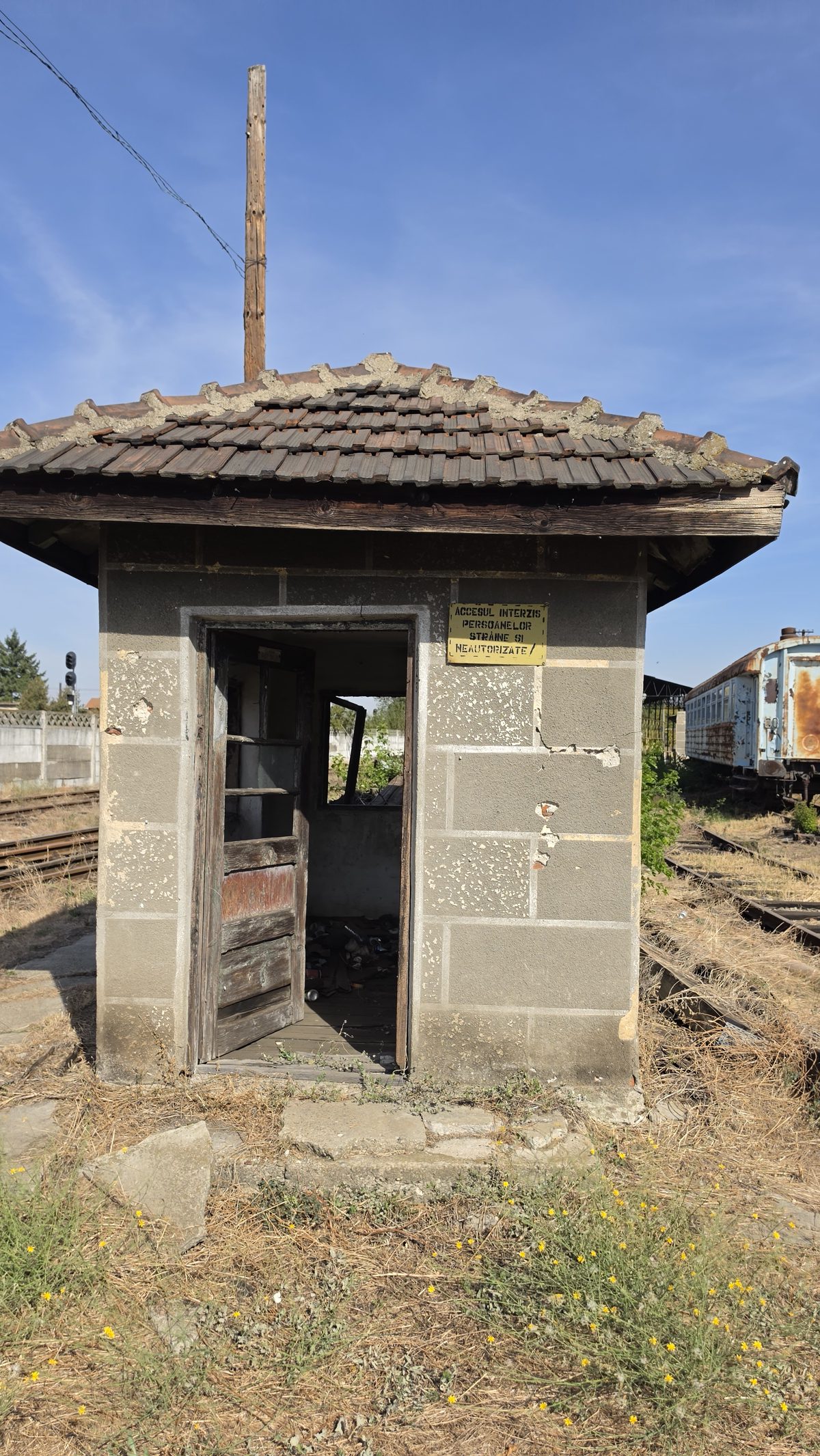 Miniatură 4