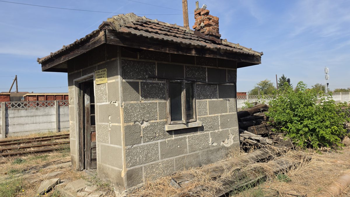 Miniatură 5