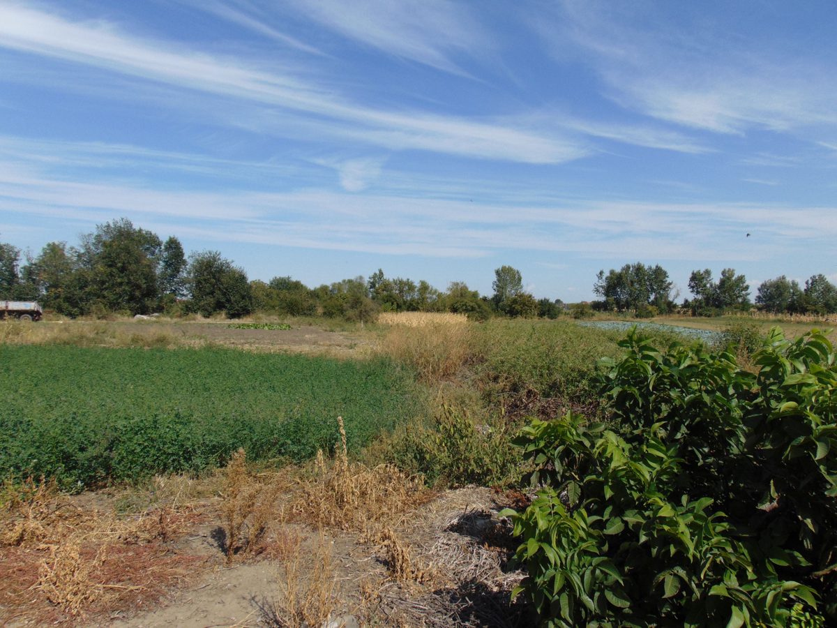 Teren agricol - intravilan in suprafata de 2097 MP 1