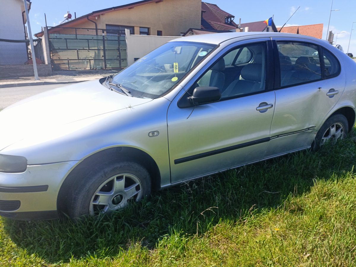 Miniatură 3