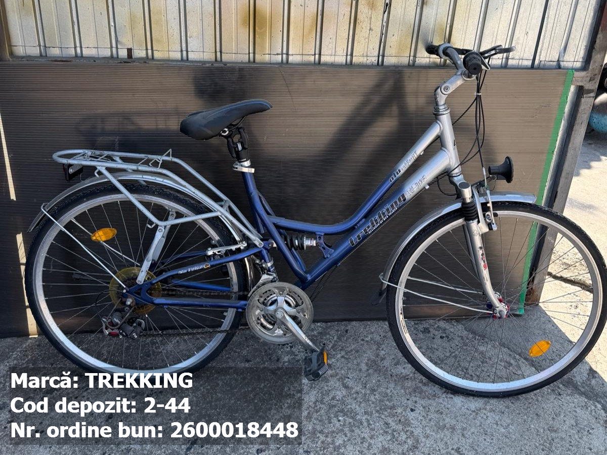 Bicicleta- Trekking 1