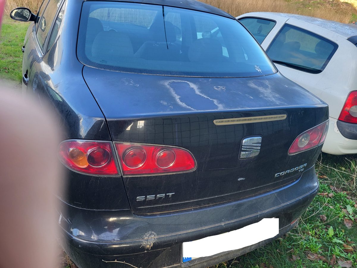 Miniatură 6
