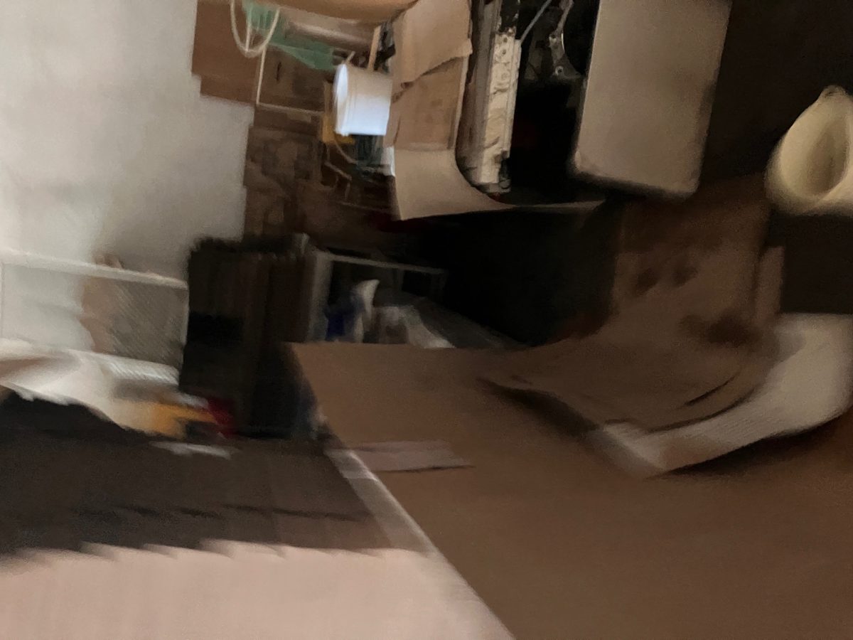 Miniatură 3