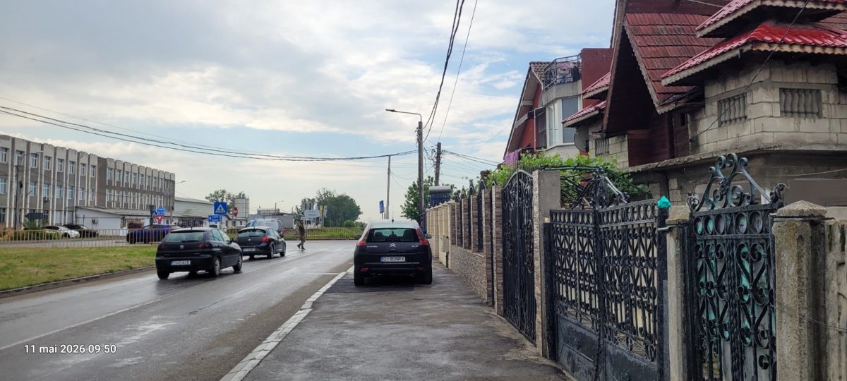 Miniatură 5