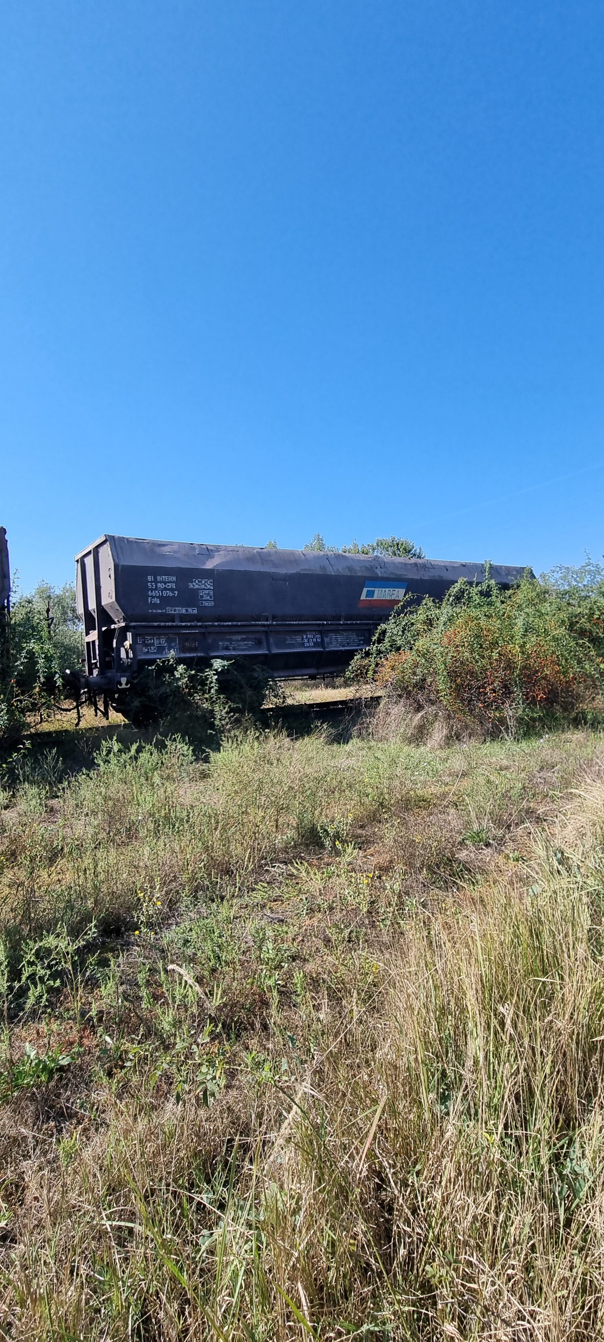 Vagon 815366510767 - Vagon marfa FALS (1981) 1