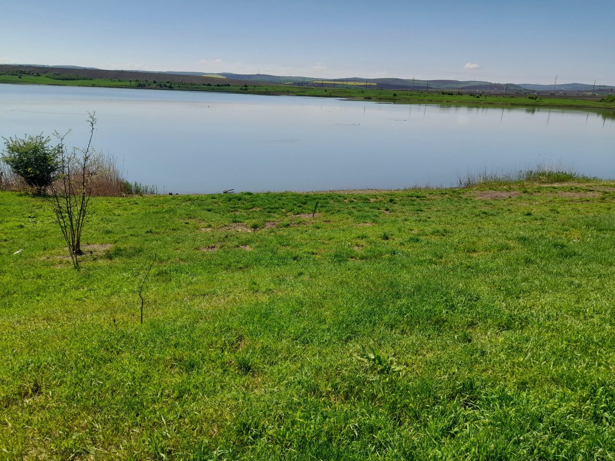 Teren agricol - 1