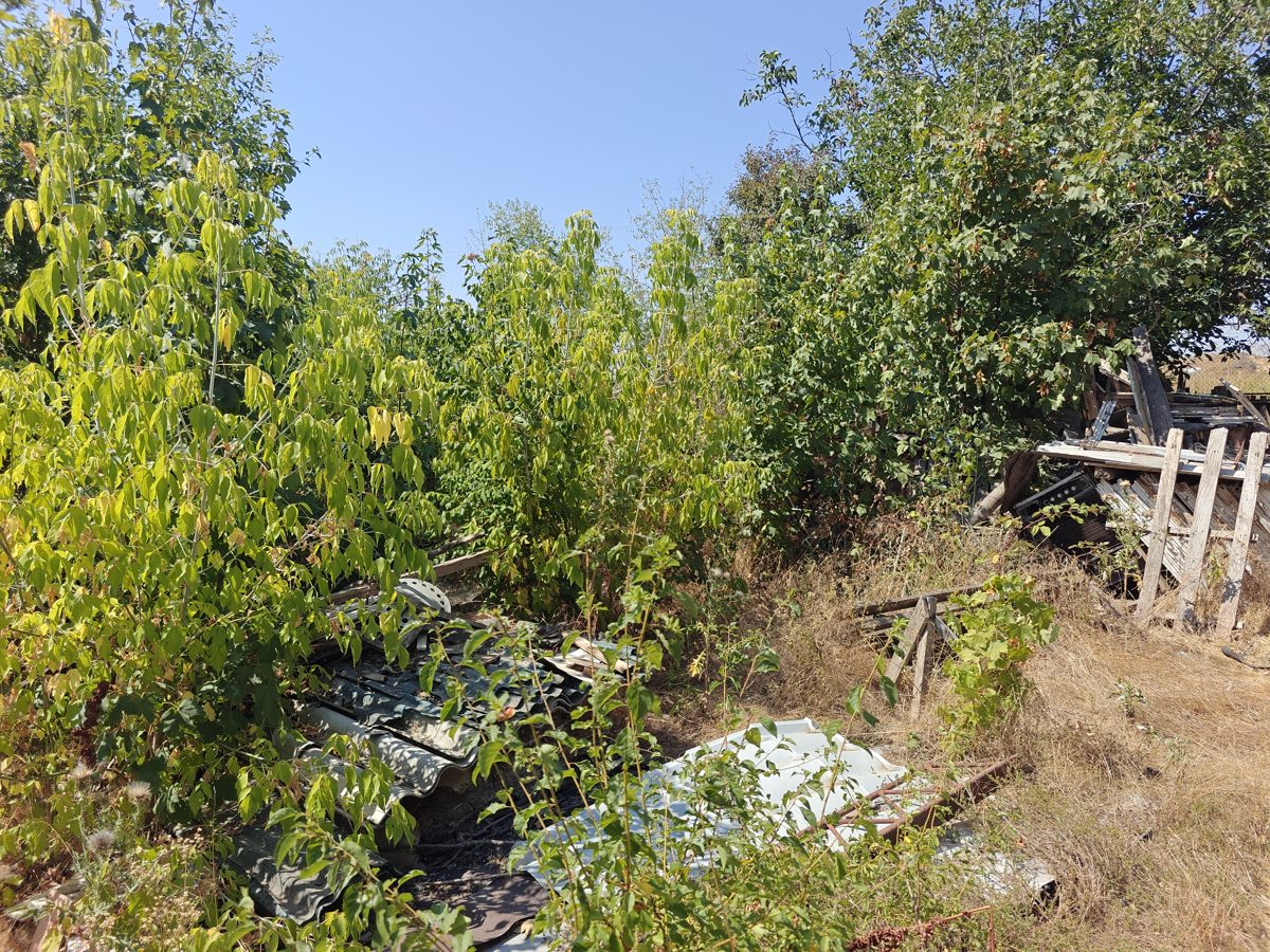 Miniatură 8
