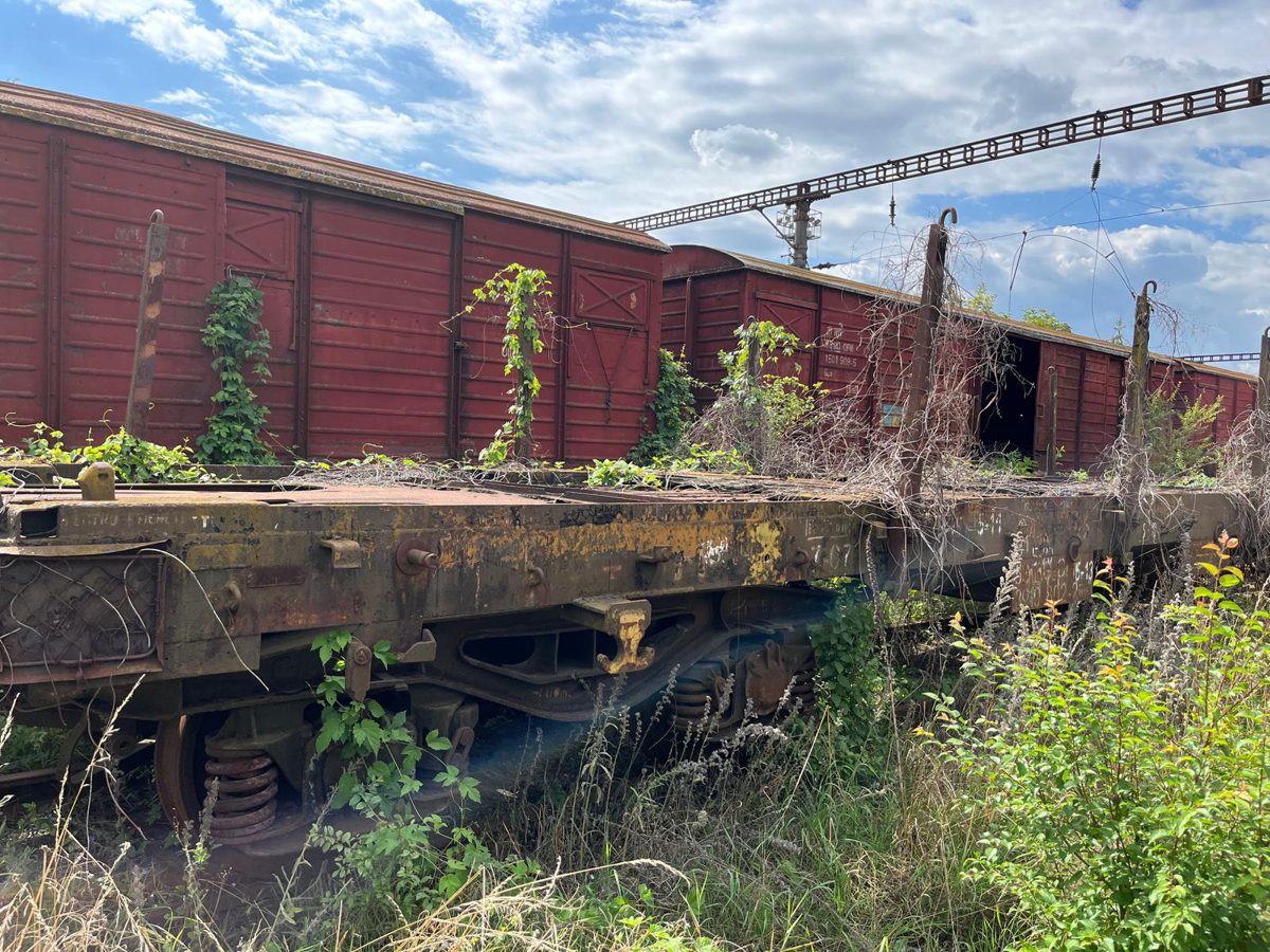 Miniatură 2
