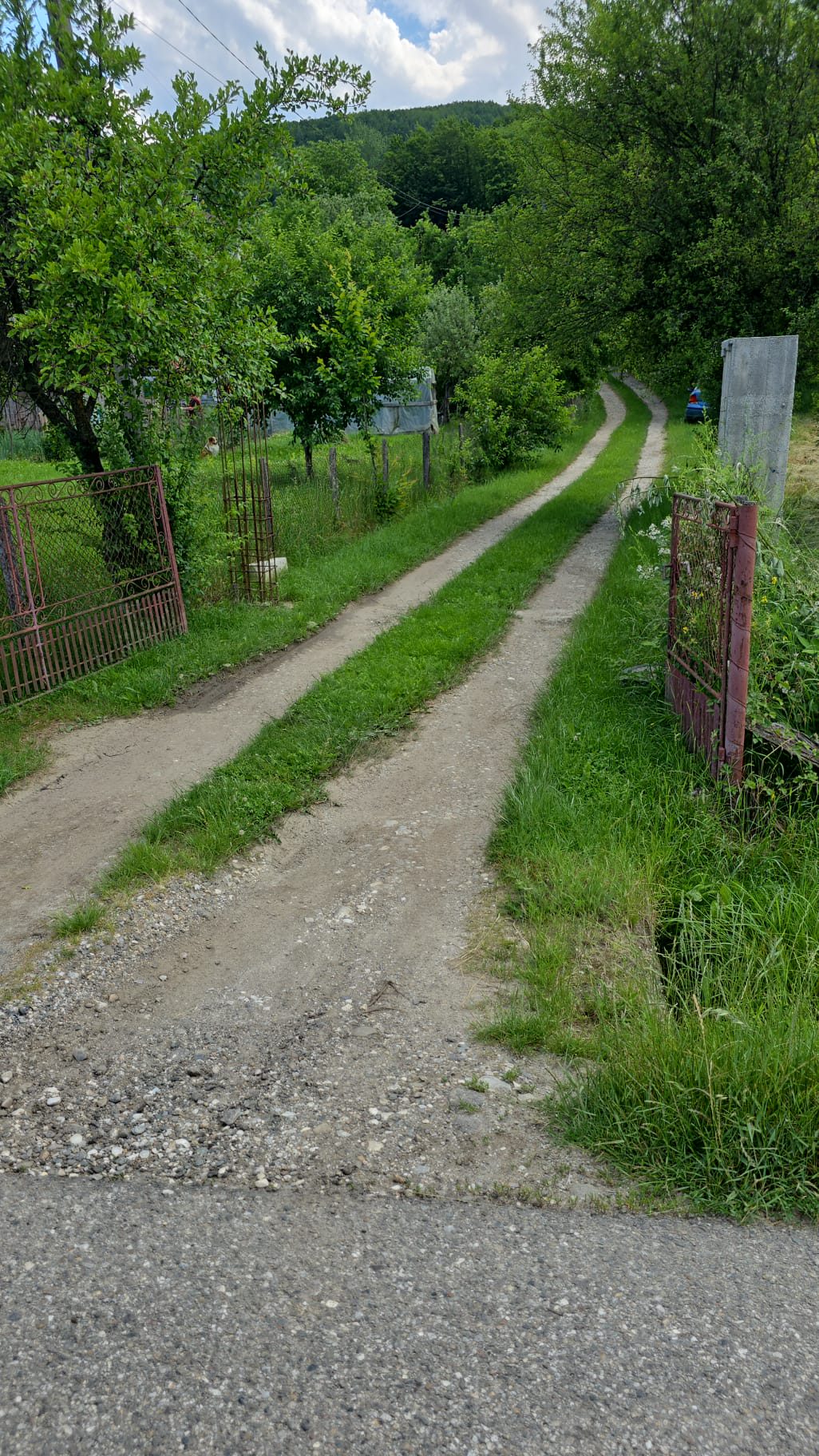 Miniatură 2