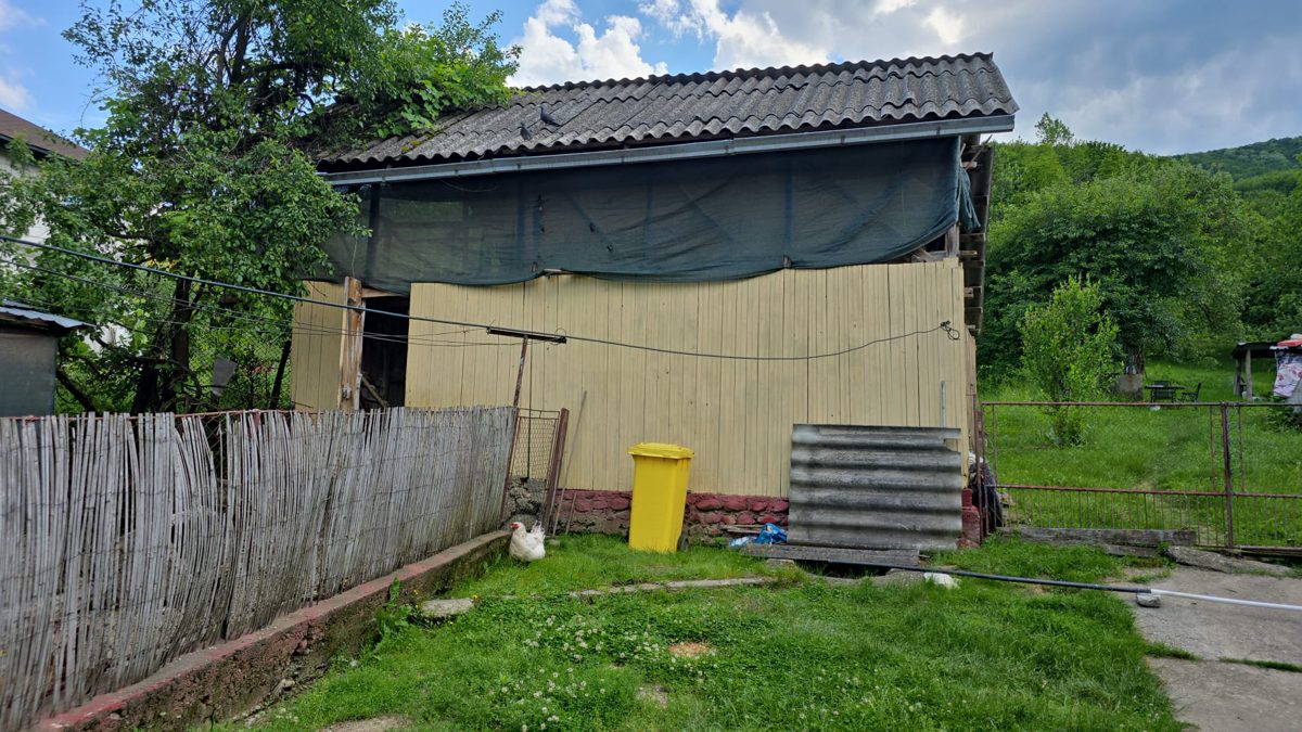 Miniatură 8