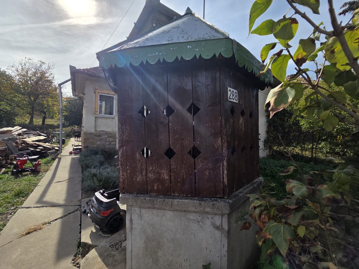 Miniatură 2