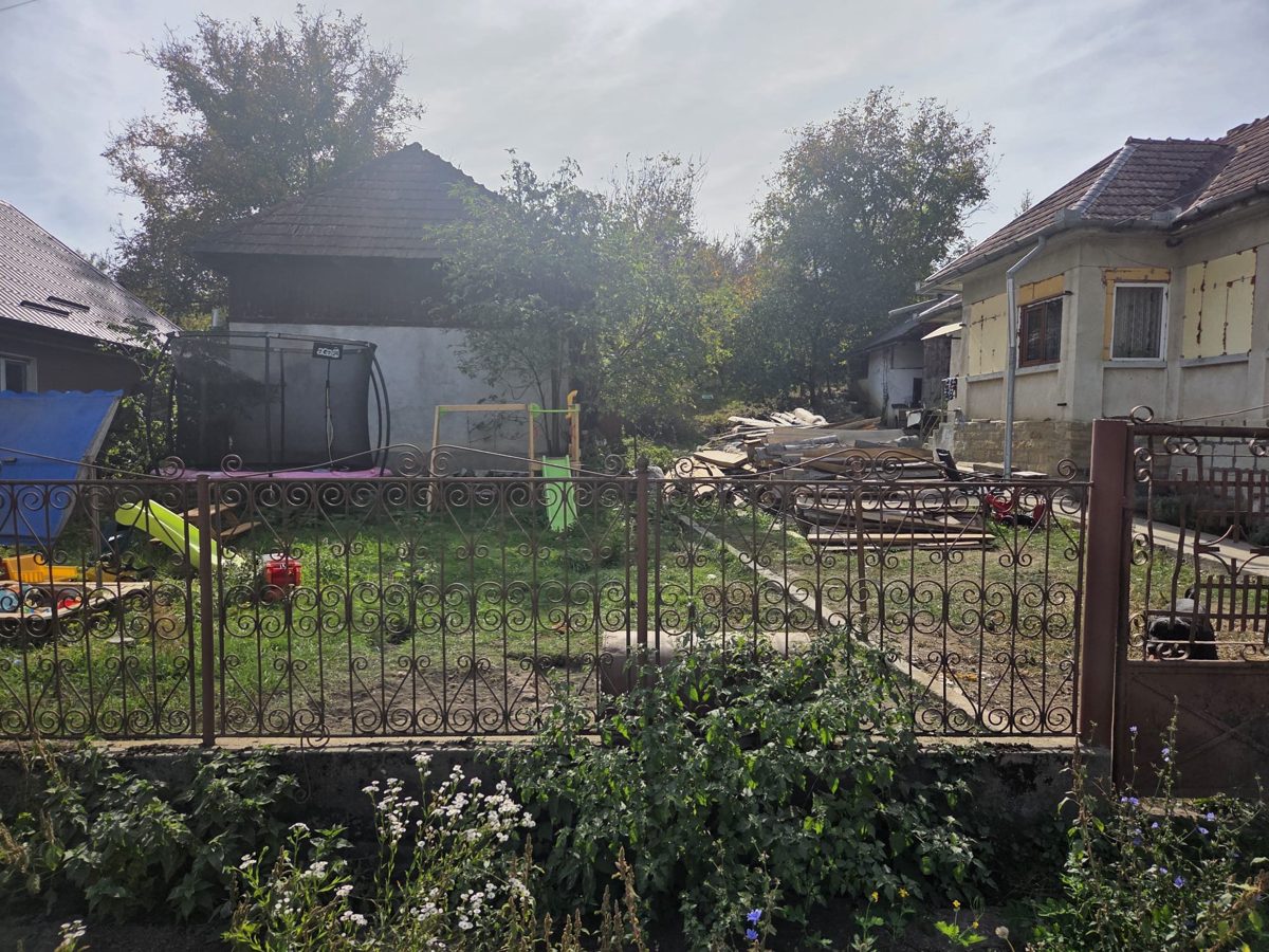 Miniatură 12