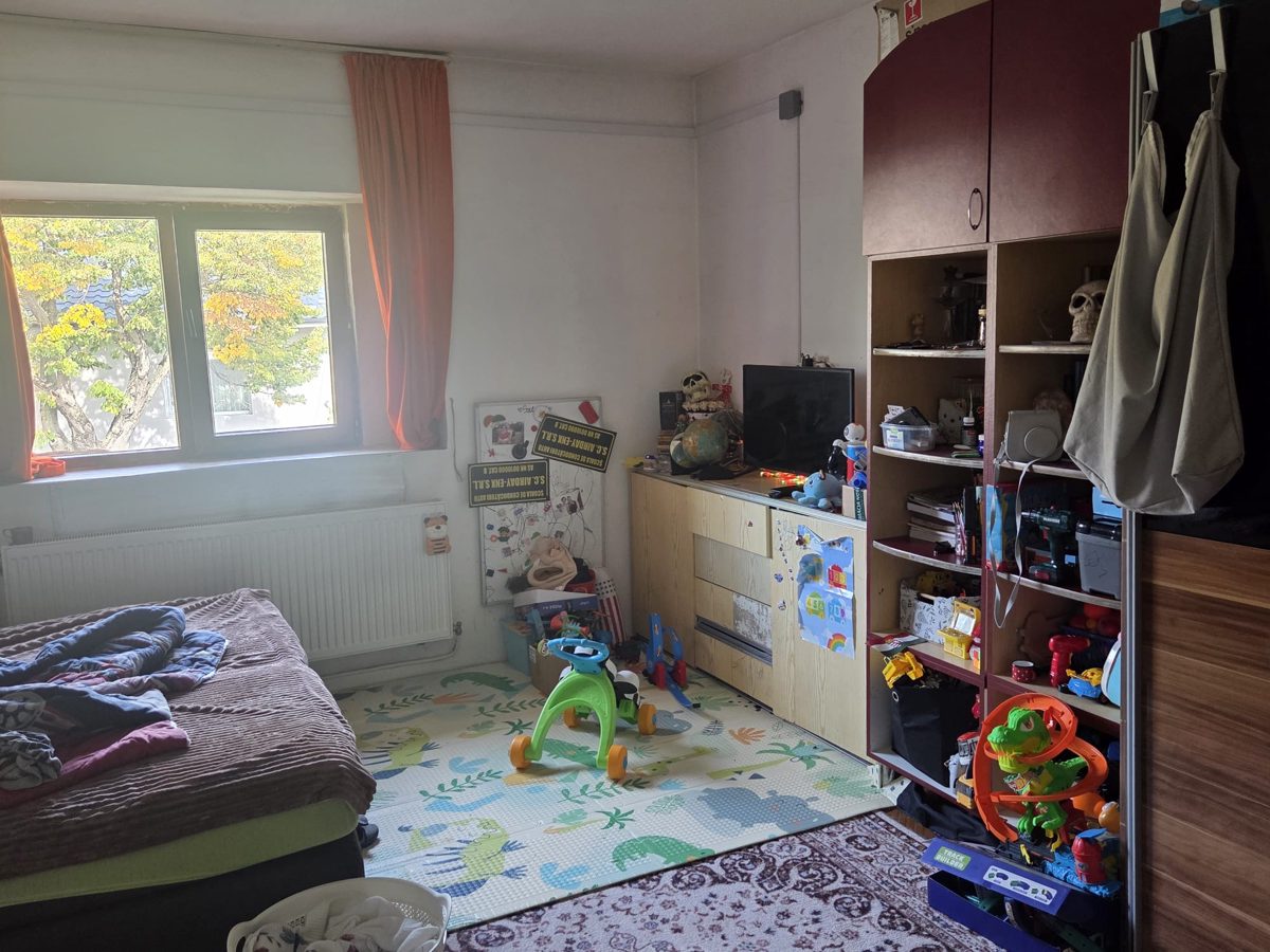Miniatură 8
