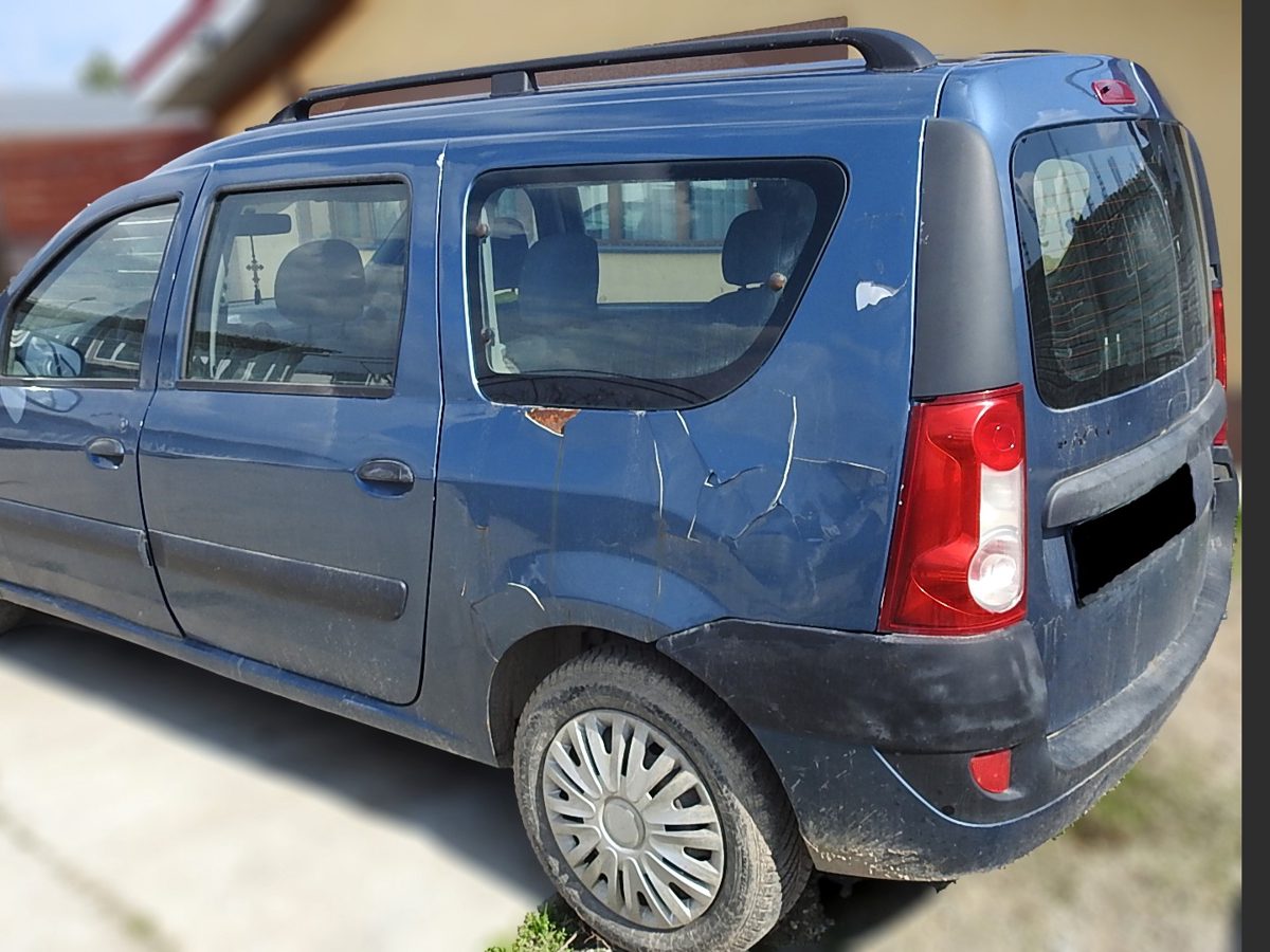 Miniatură 3