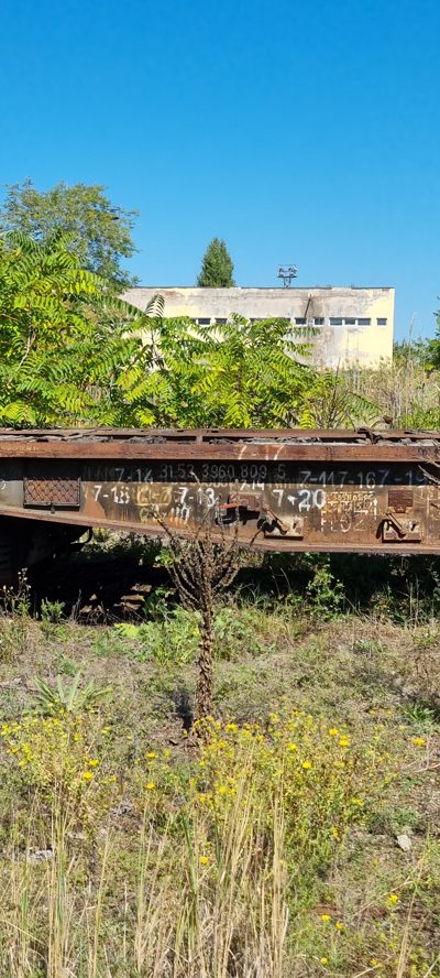 Vagon 315339608095 - Vagon marfa RMMS (1990)