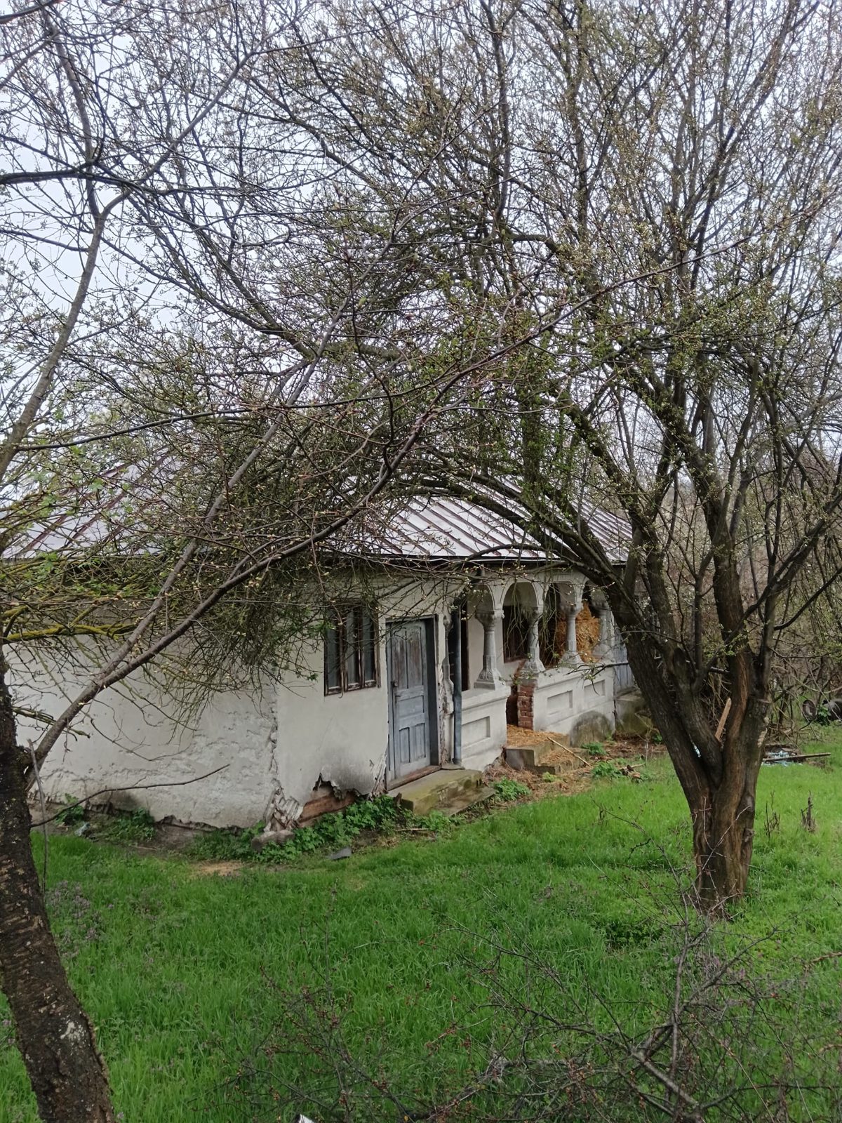 Casa/Vila - LOCUINTA 1