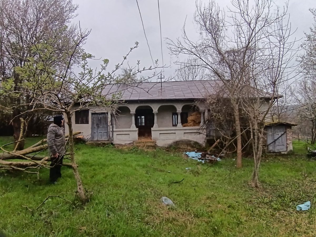 Miniatură 3