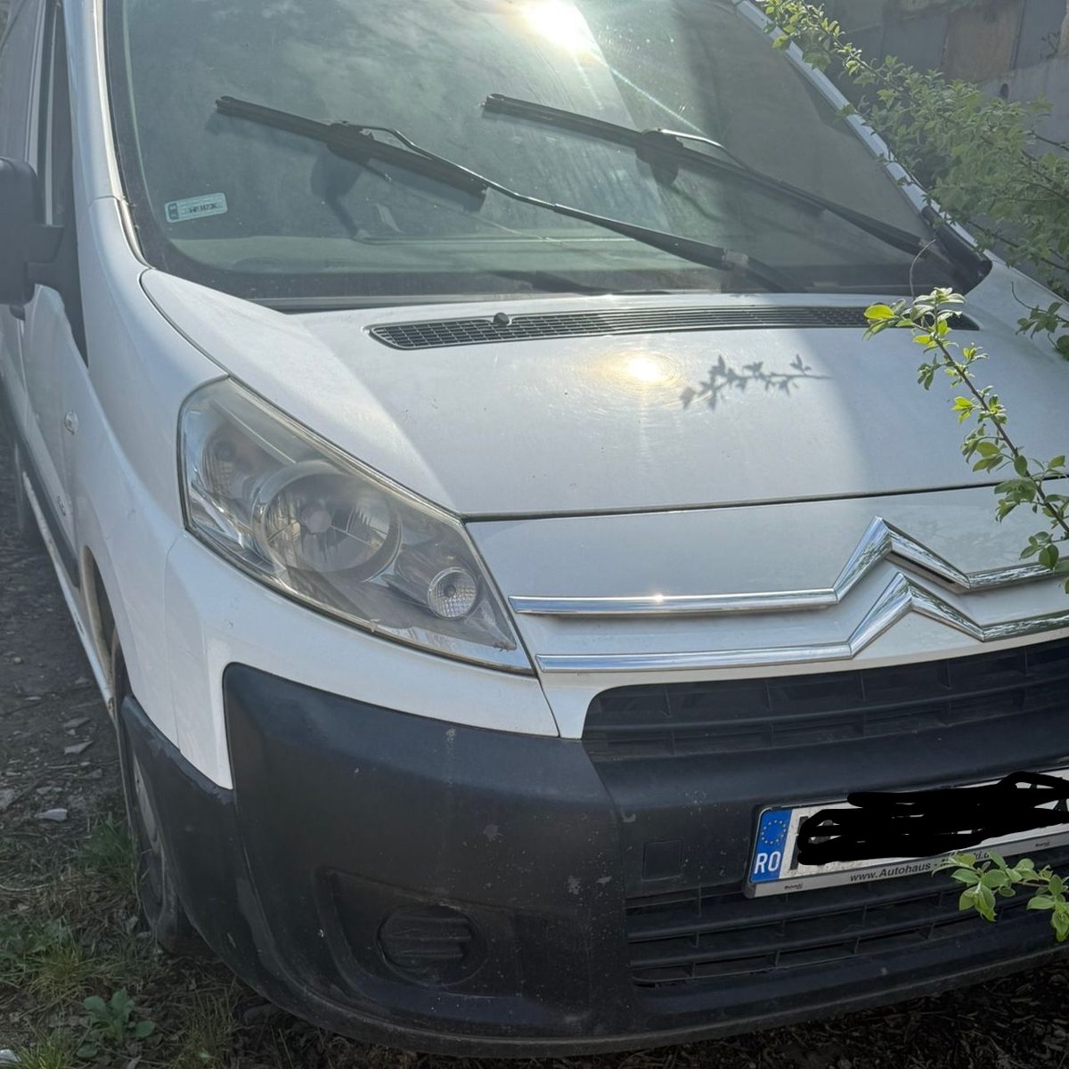 Miniatură 2