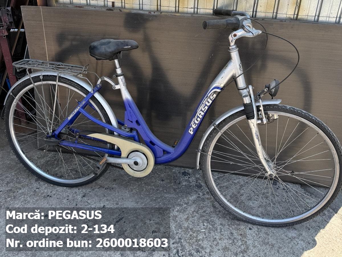 Bicicleta- Pegasus 1