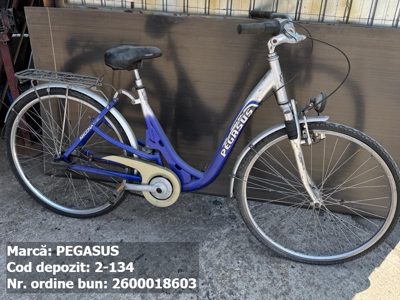 Bicicleta- Pegasus