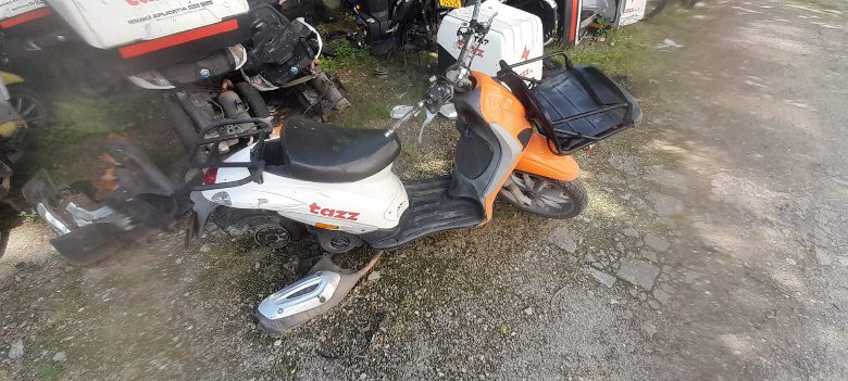 Miniatură 3
