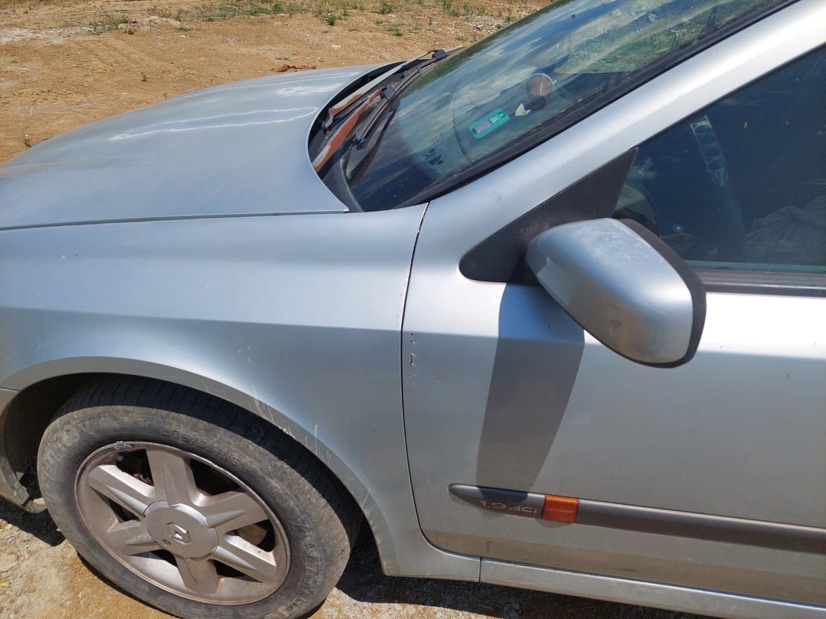 Miniatură 9
