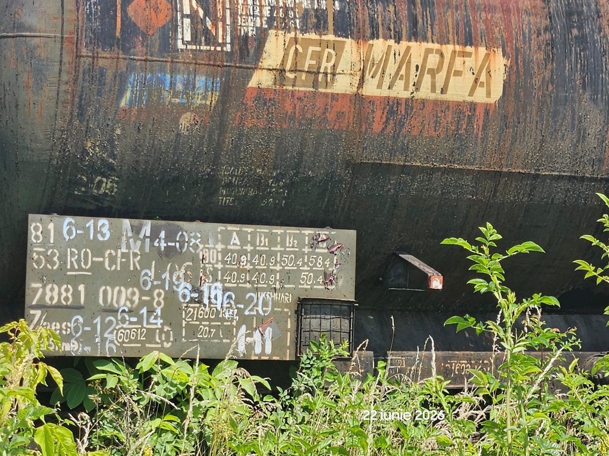 Miniatură 2
