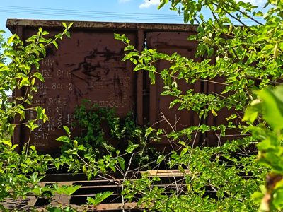 Vagon marfa EACS * 315354848402