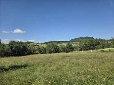 Extravilan  - in suprafata de 3387 MP