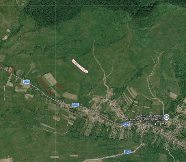 Miniatură 4