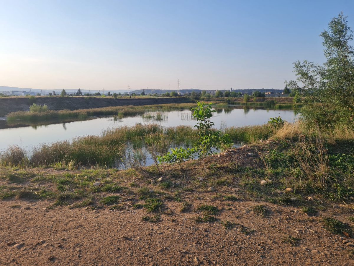 TEREN EXTRAVILAN IN SUPRAFATA DE 6700 MP, INREGISTRAT IN CF NR. 55993 TURDA 1