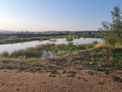 TEREN EXTRAVILAN IN SUPRAFATA DE 6700 MP, INREGISTRAT IN CF NR. 55993 TURDA